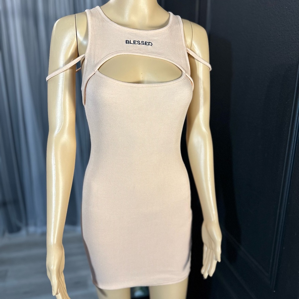 Fashion Nova Mini Dress